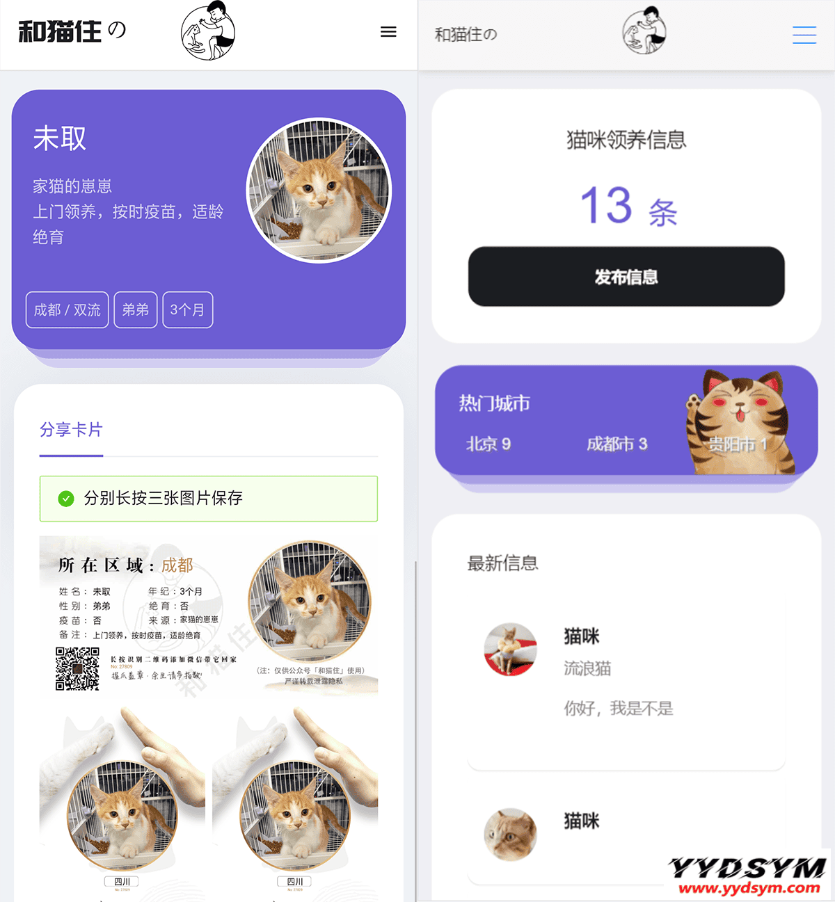 最新流浪猫流浪狗H5完整运营源码下载 可封装APP