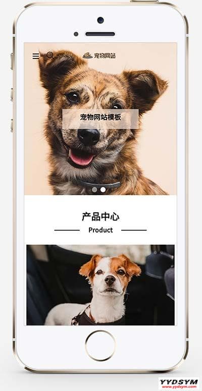 资源预览,点击查看大图