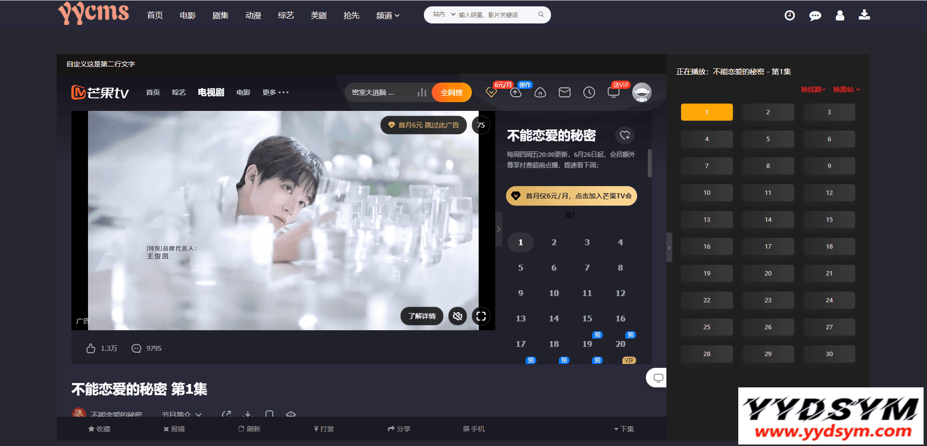 YYCMS5.0影视系统/源码全开源无授权/影视站全自动采集