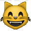 校园流浪猫信息记录和分享的小程序源码